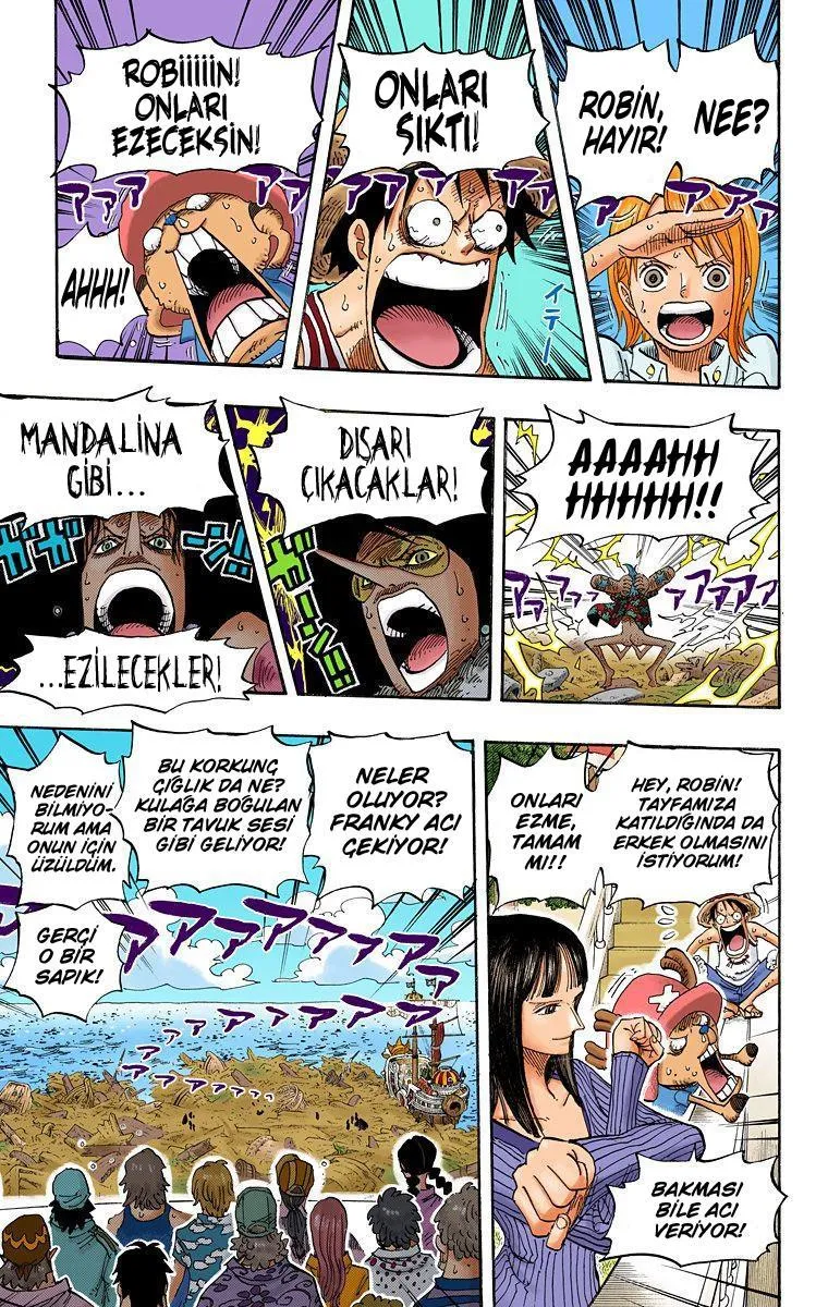 One Piece [Renkli] - Sayfa 6