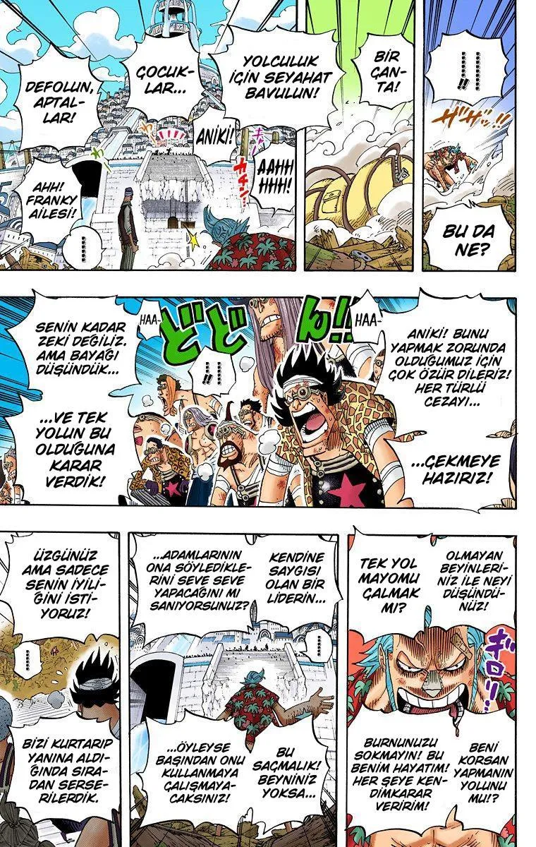 One Piece [Renkli] - Sayfa 12