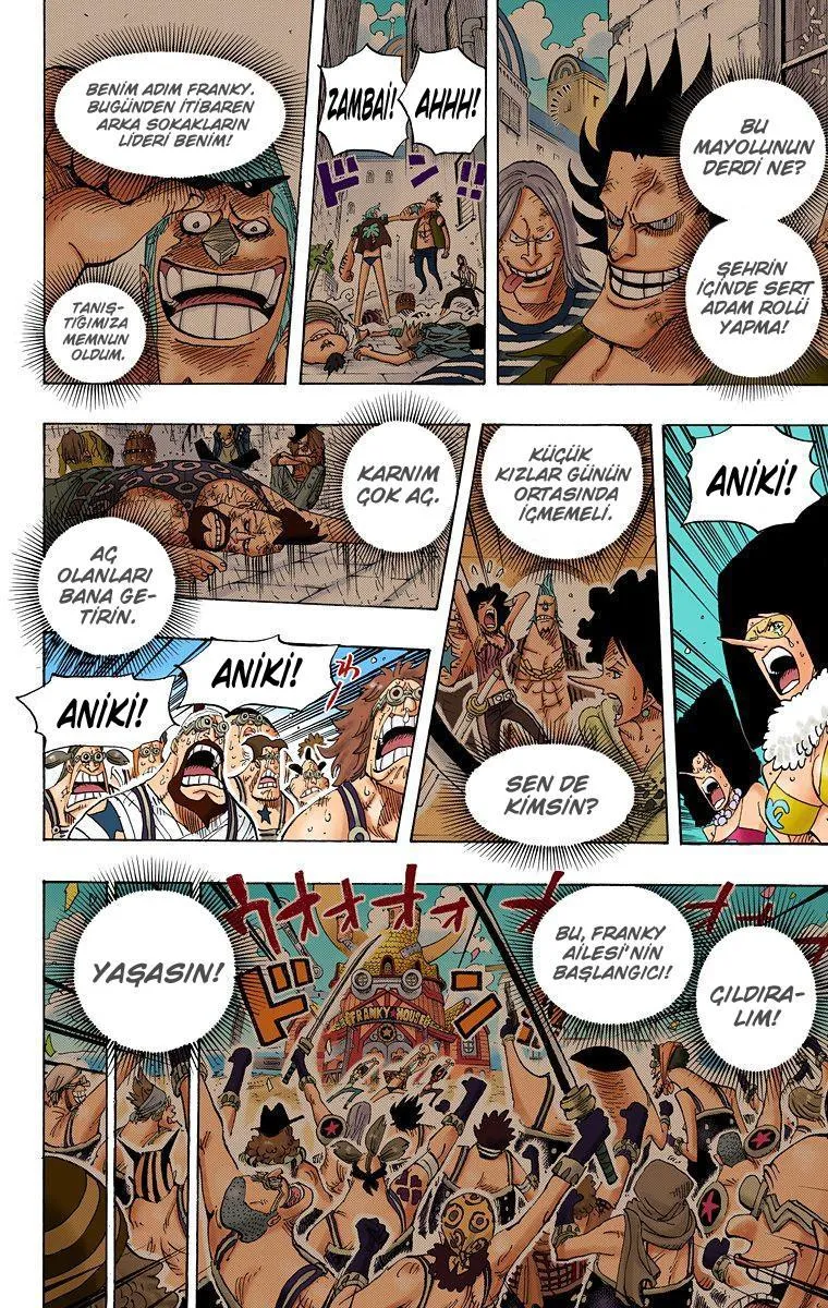 One Piece [Renkli] - Sayfa 15