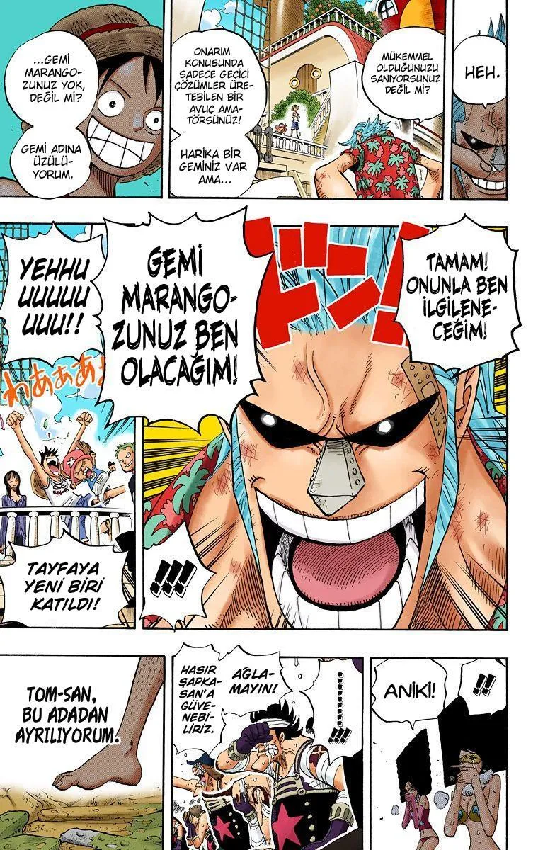 One Piece [Renkli] - Sayfa 18
