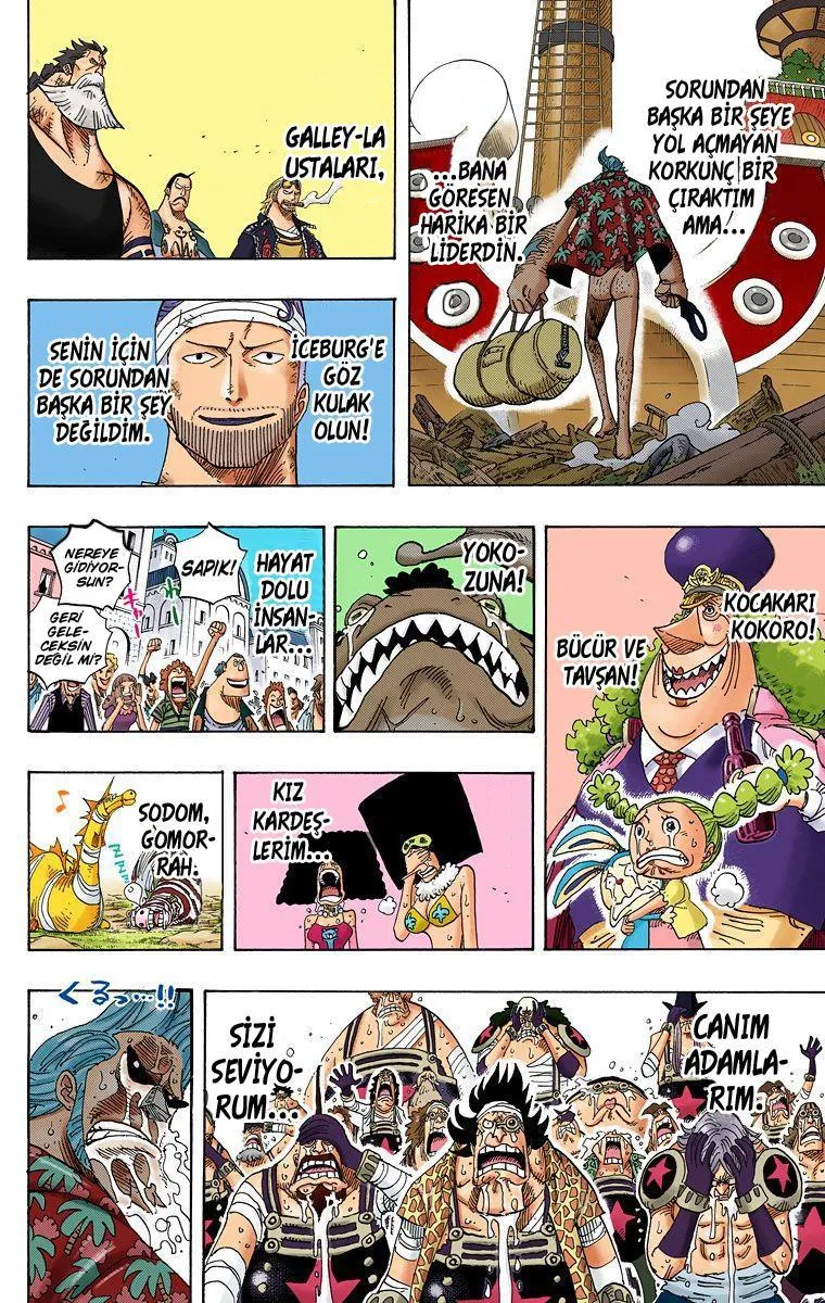 One Piece [Renkli] - Sayfa 19