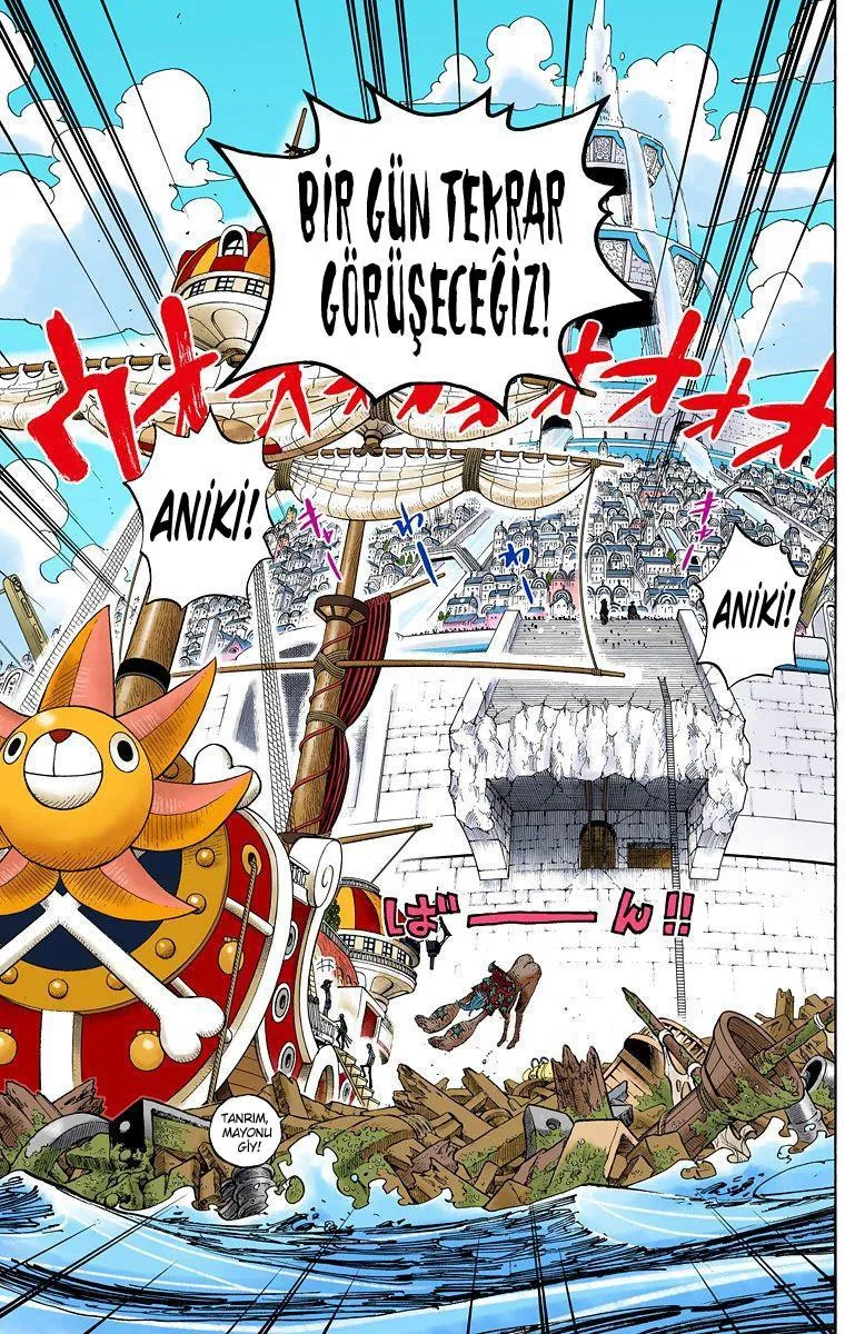 One Piece [Renkli] - Sayfa 20