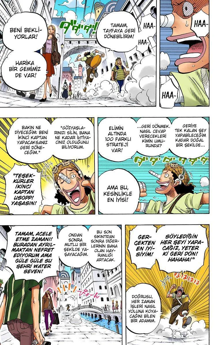 One Piece [Renkli] - Sayfa 8