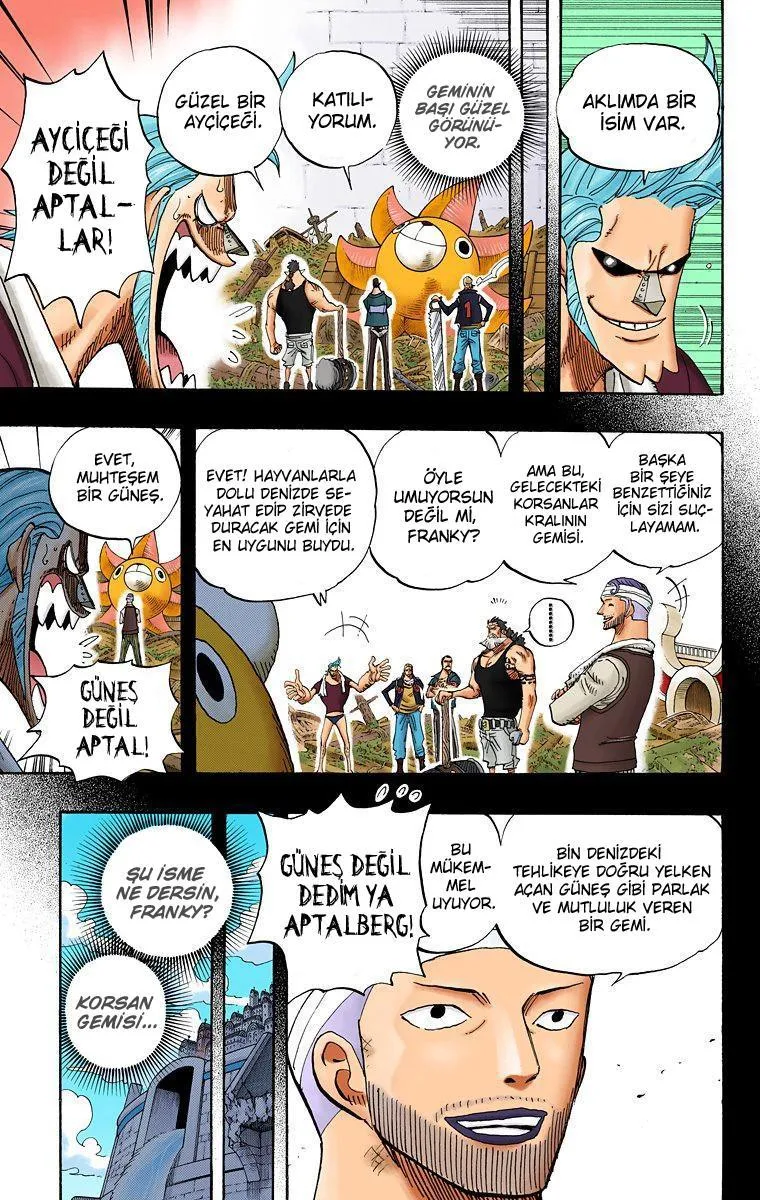 One Piece [Renkli] - Sayfa 5