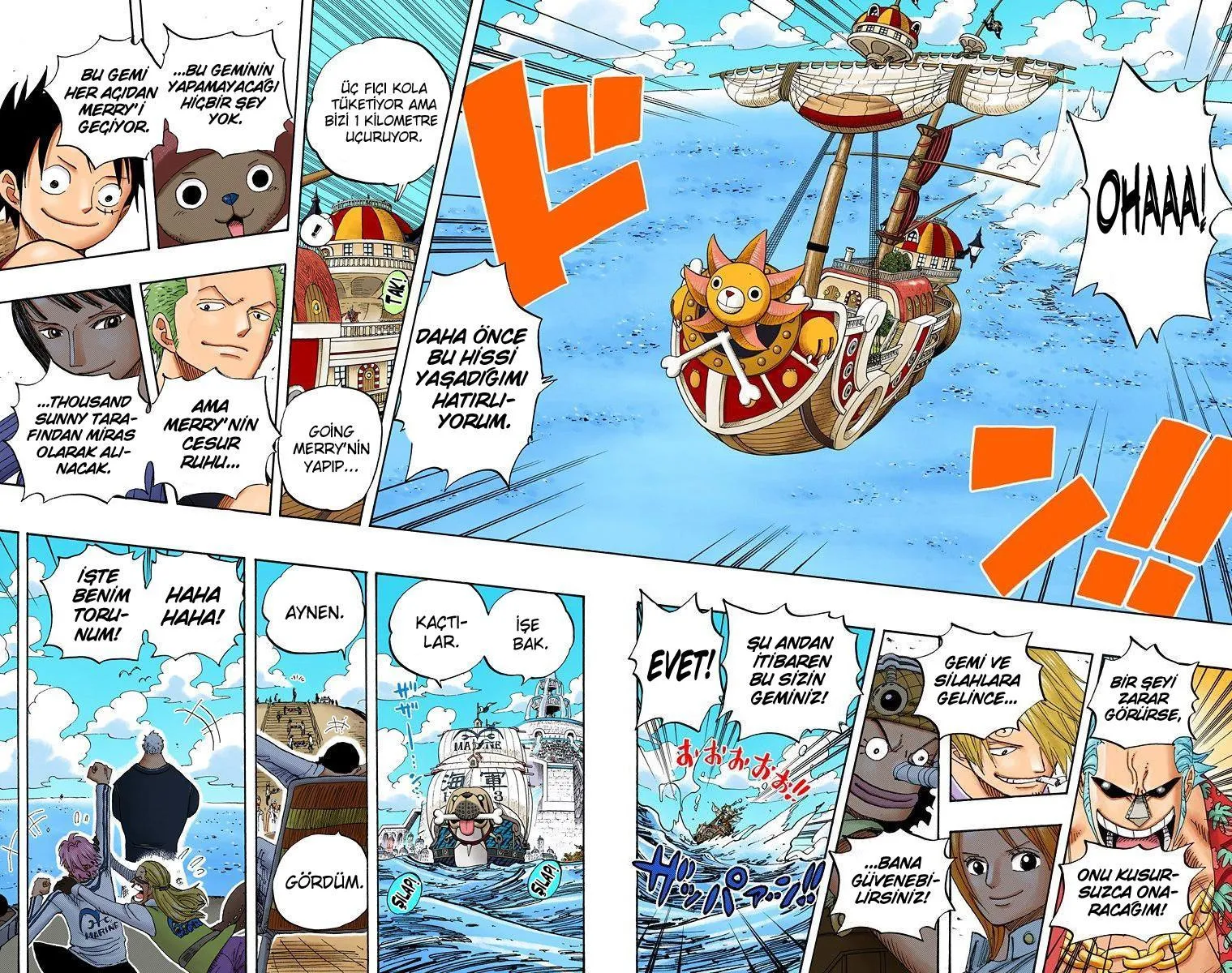 One Piece [Renkli] - Sayfa 12