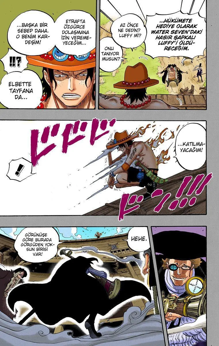 One Piece [Renkli] - Sayfa 14