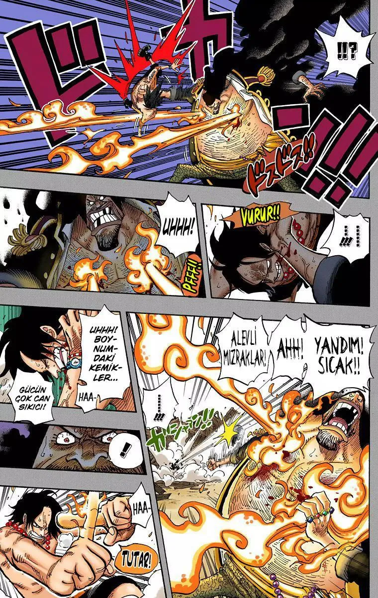 One Piece [Renkli] - Sayfa 14