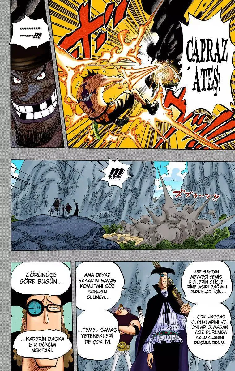 One Piece [Renkli] - Sayfa 15