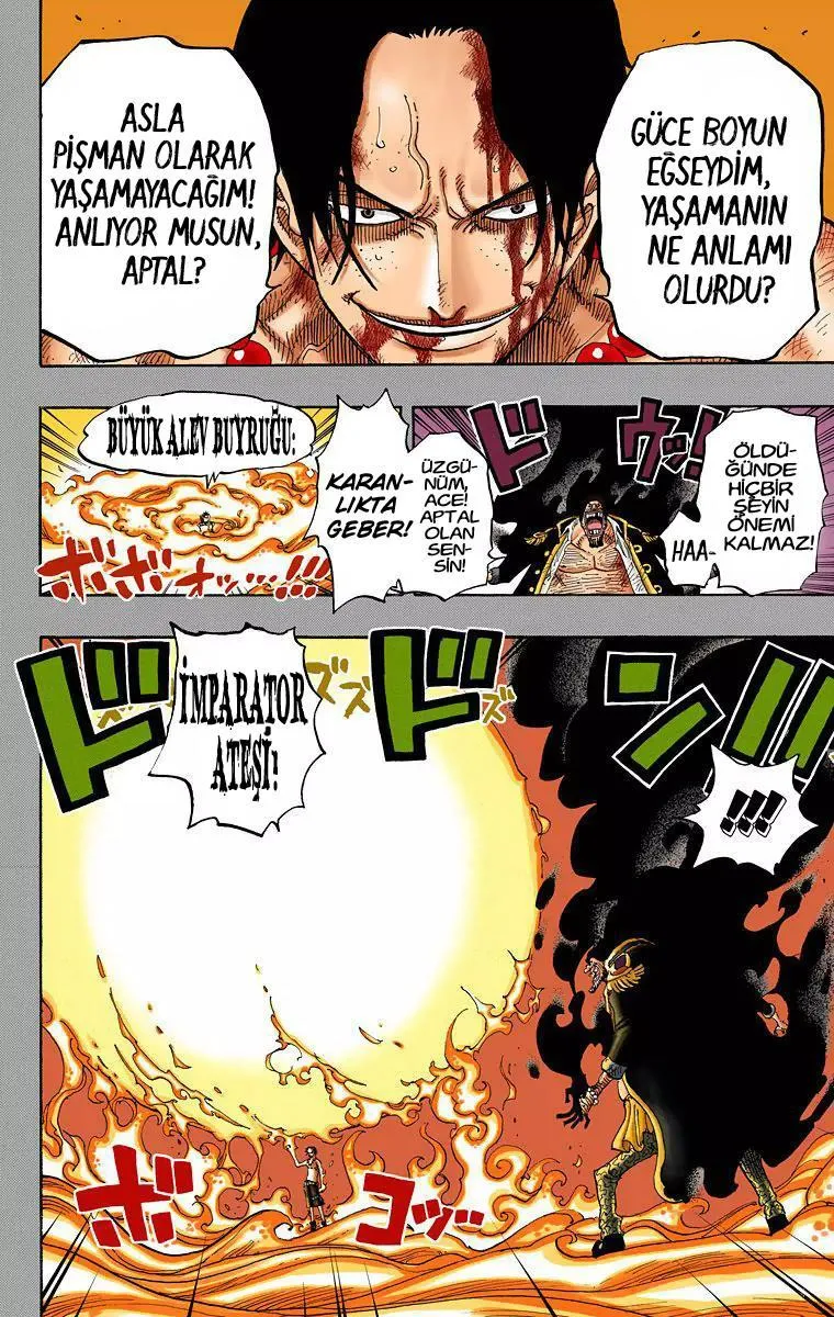 One Piece [Renkli] - Sayfa 17