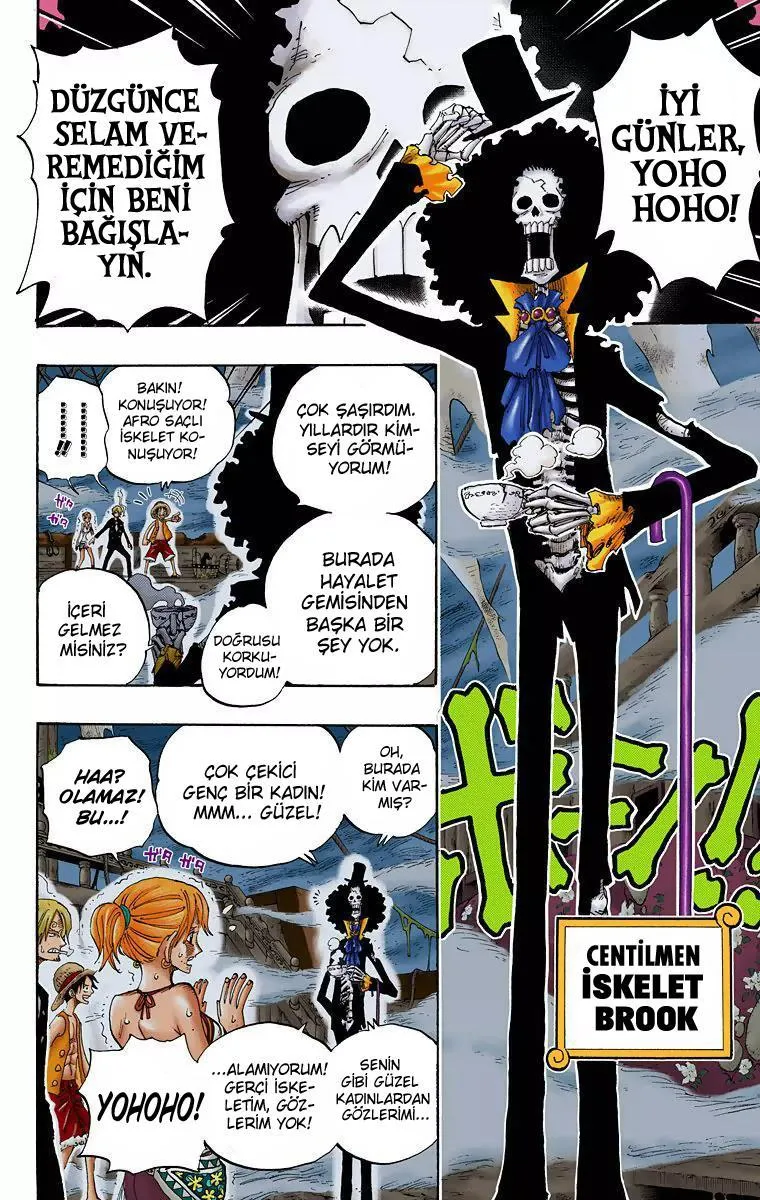 One Piece [Renkli] - Sayfa 17