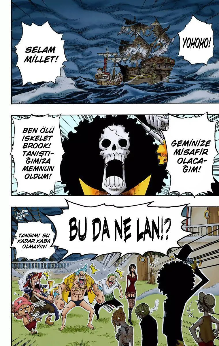 One Piece [Renkli] - Sayfa 3