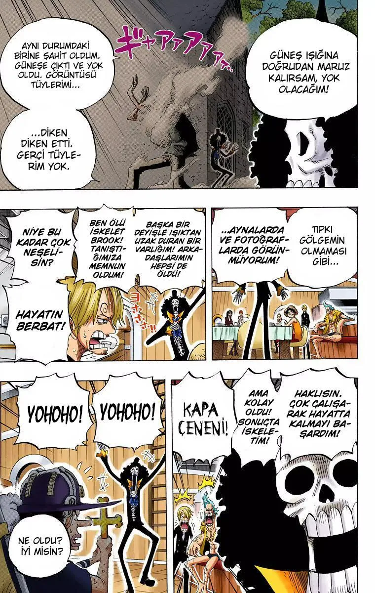 One Piece [Renkli] - Sayfa 12