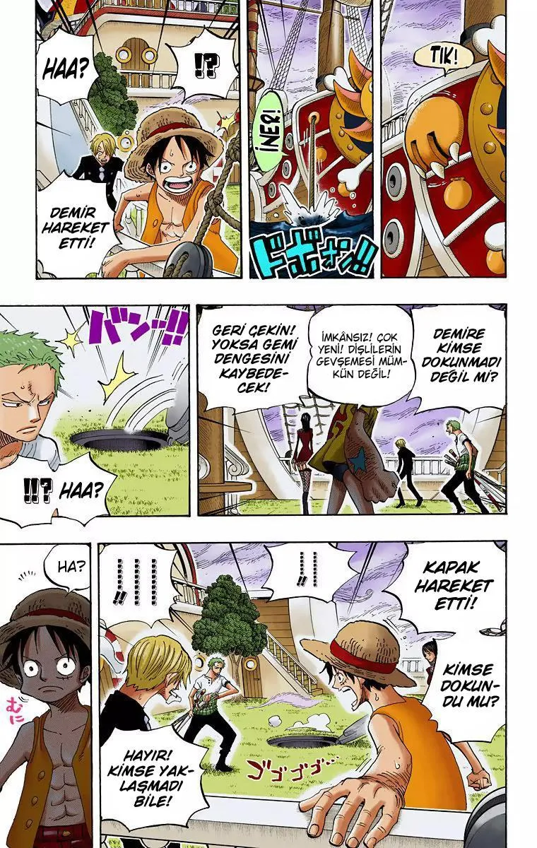 One Piece [Renkli] - Sayfa 10