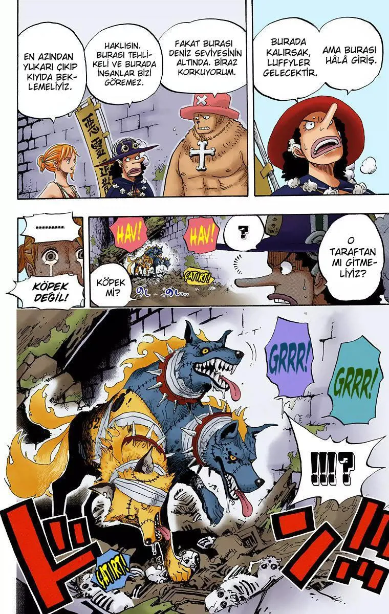 One Piece [Renkli] - Sayfa 17