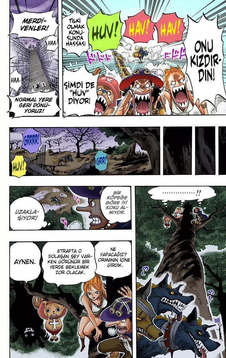 One Piece [Renkli] - Sayfa 19