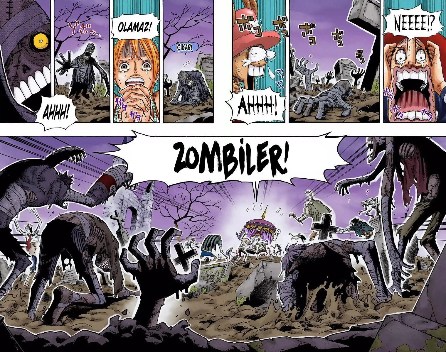 One Piece [Renkli] - Sayfa 12