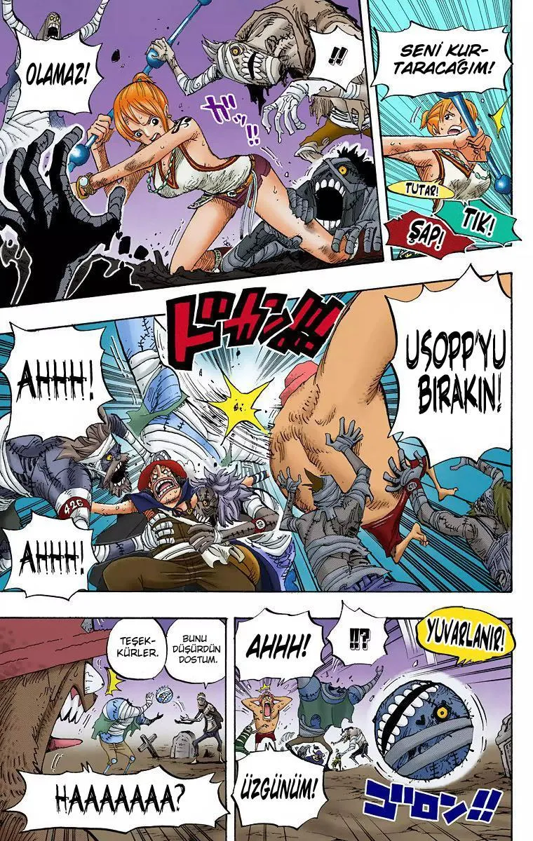 One Piece [Renkli] - Sayfa 14