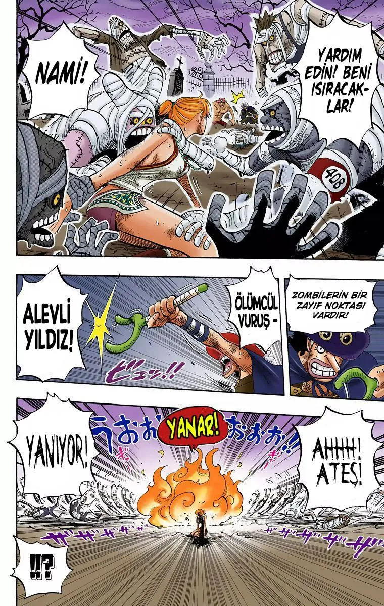 One Piece [Renkli] - Sayfa 15