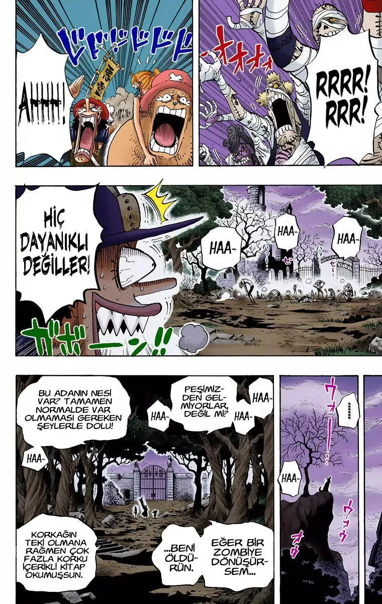 One Piece [Renkli] - Sayfa 17