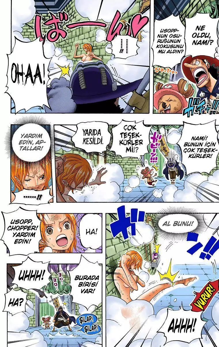 One Piece [Renkli] - Sayfa 16