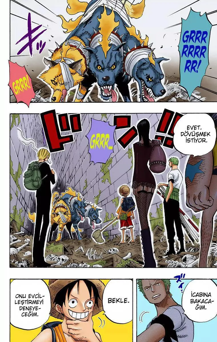 One Piece [Renkli] - Sayfa 3