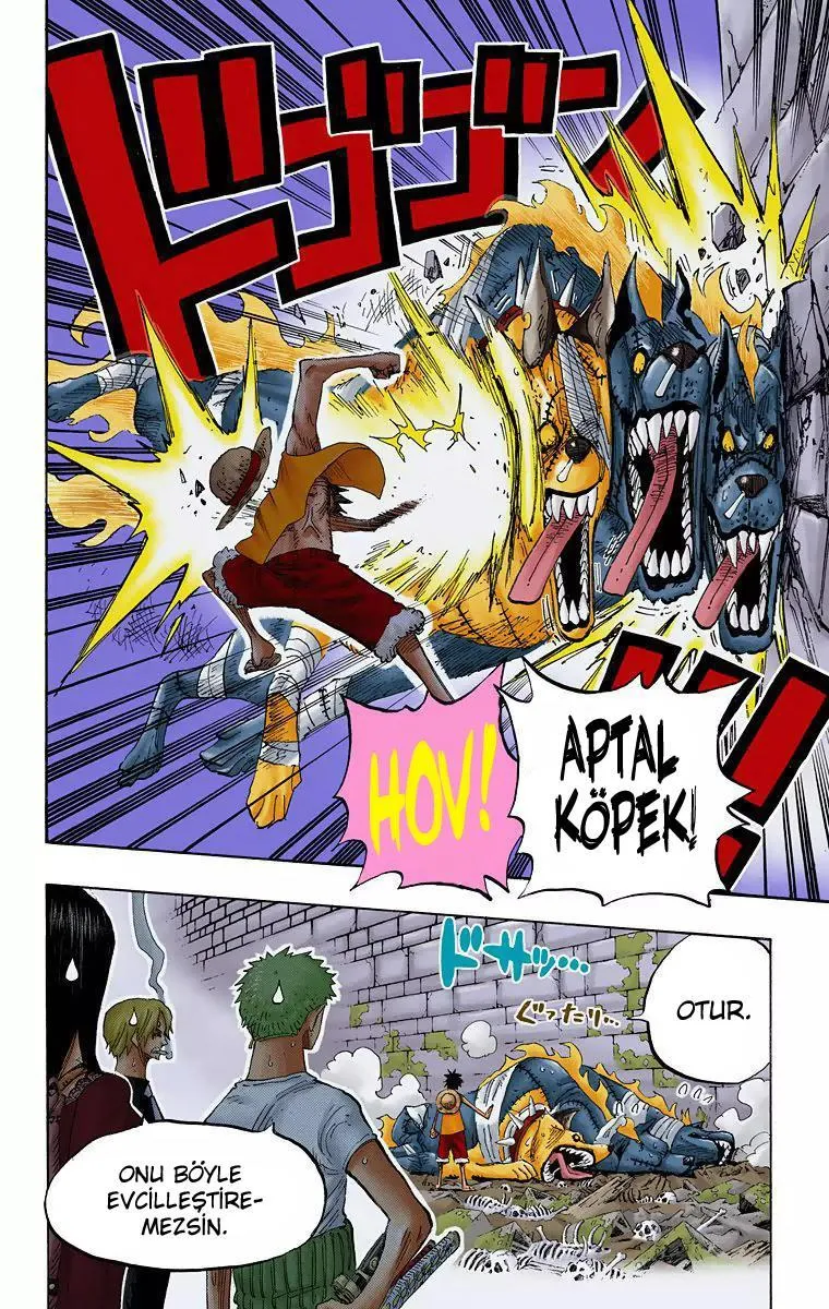 One Piece [Renkli] - Sayfa 5