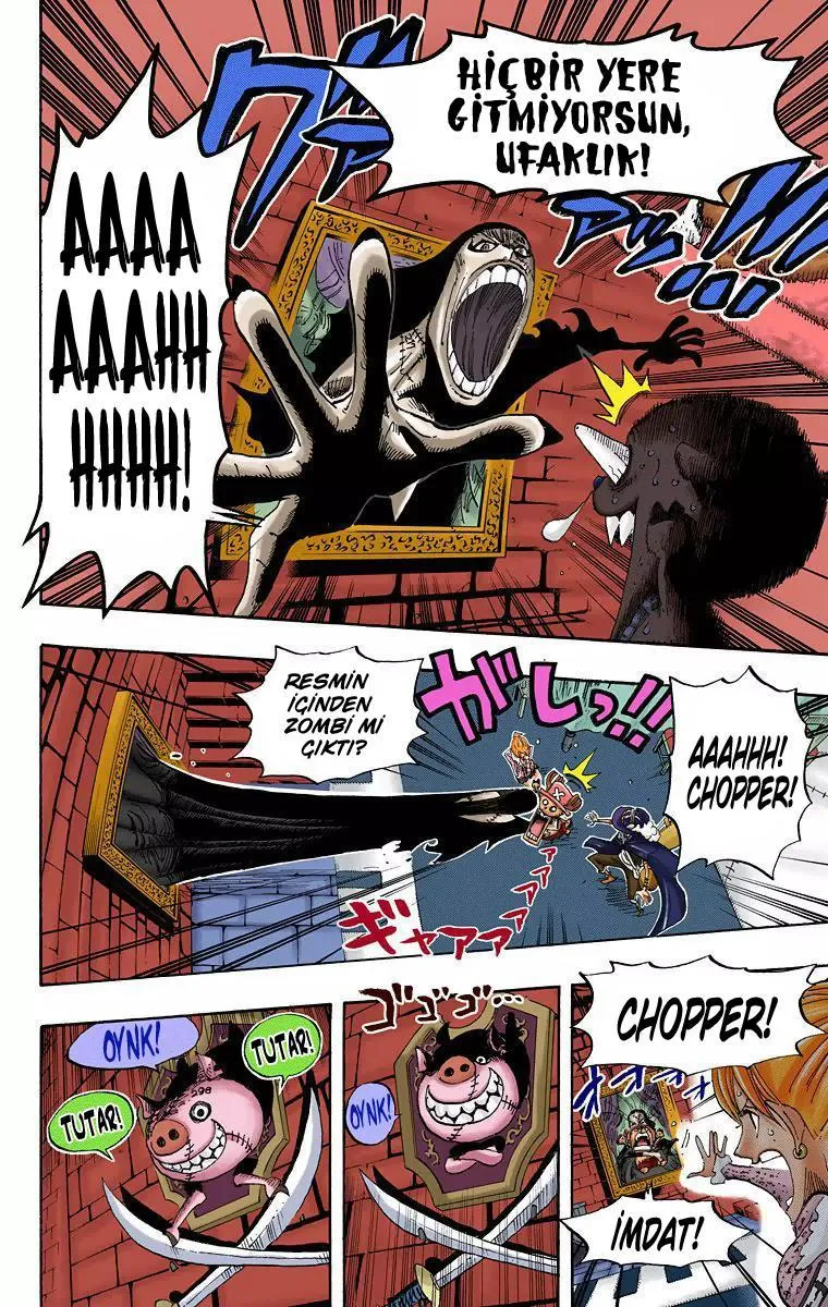 One Piece [Renkli] - Sayfa 13