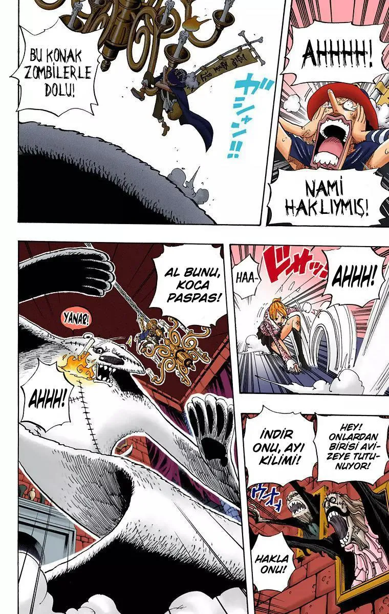 One Piece [Renkli] - Sayfa 15