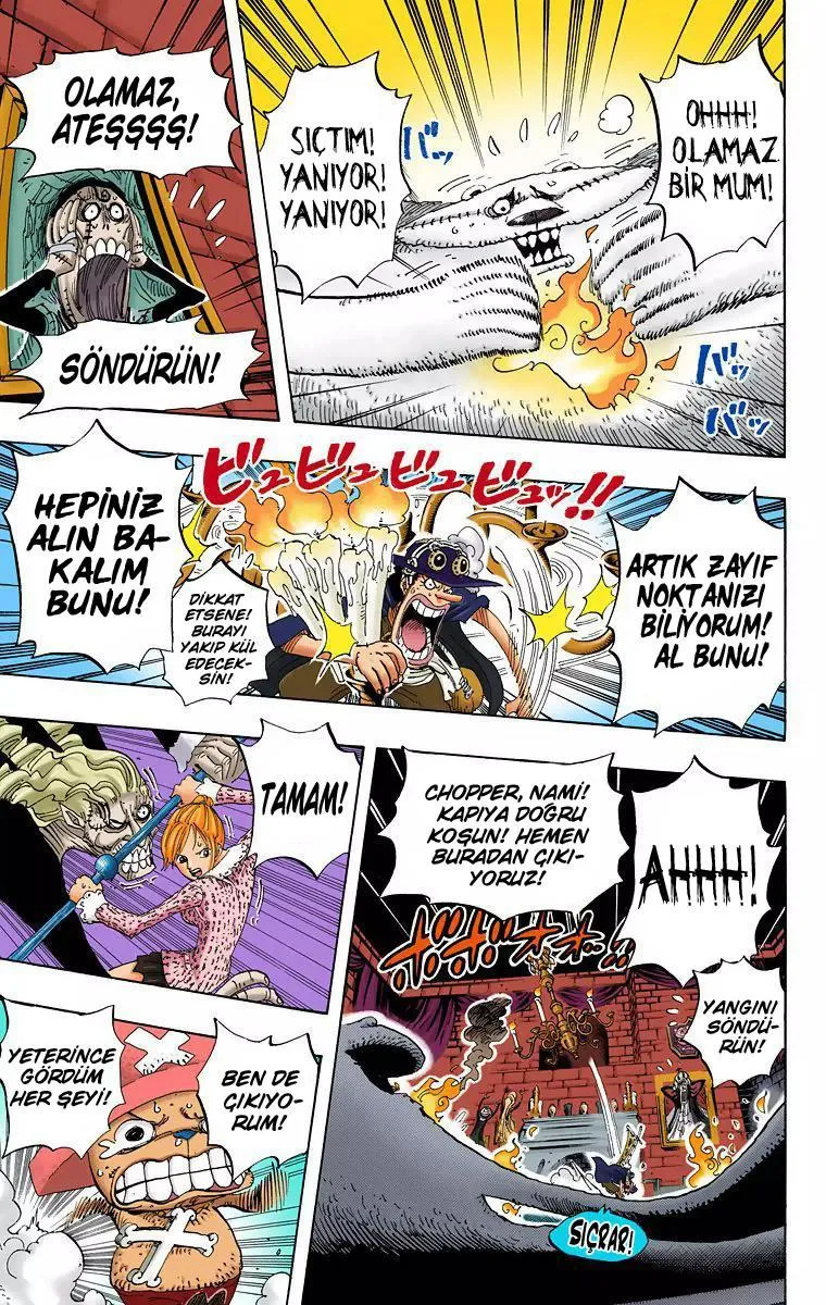 One Piece [Renkli] - Sayfa 16