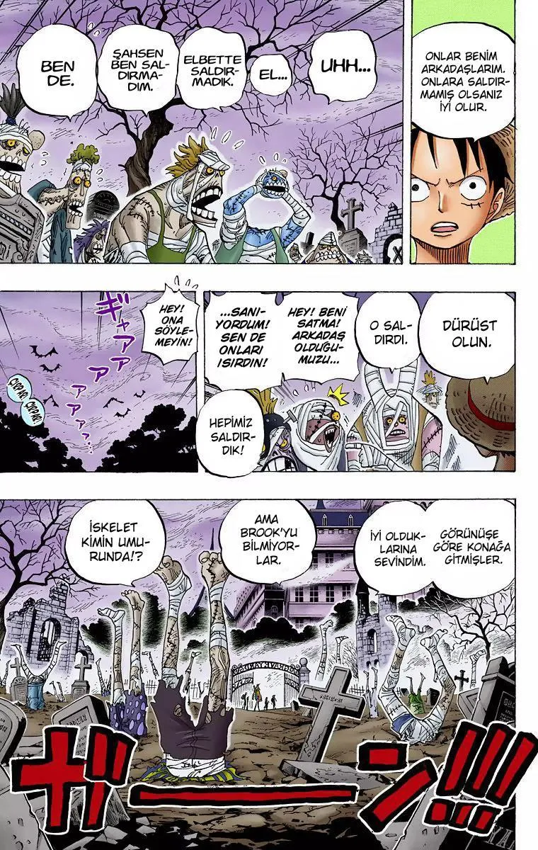 One Piece [Renkli] - Sayfa 17