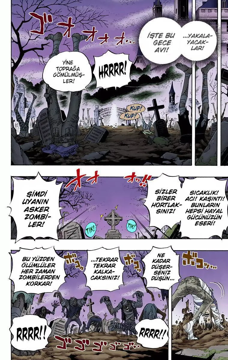 One Piece [Renkli] - Sayfa 10