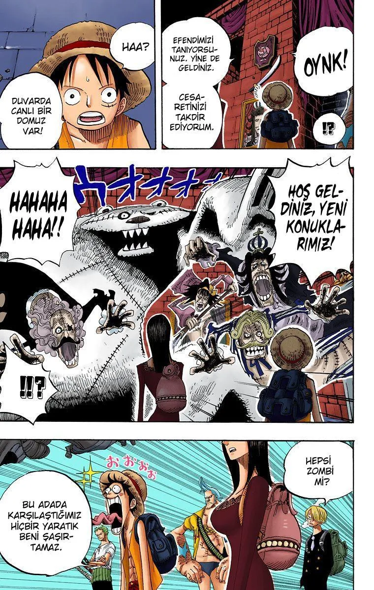 One Piece [Renkli] - Sayfa 10