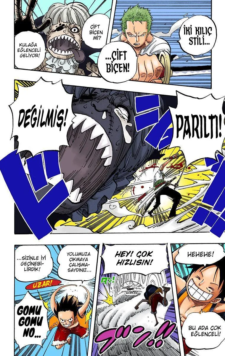 One Piece [Renkli] - Sayfa 13