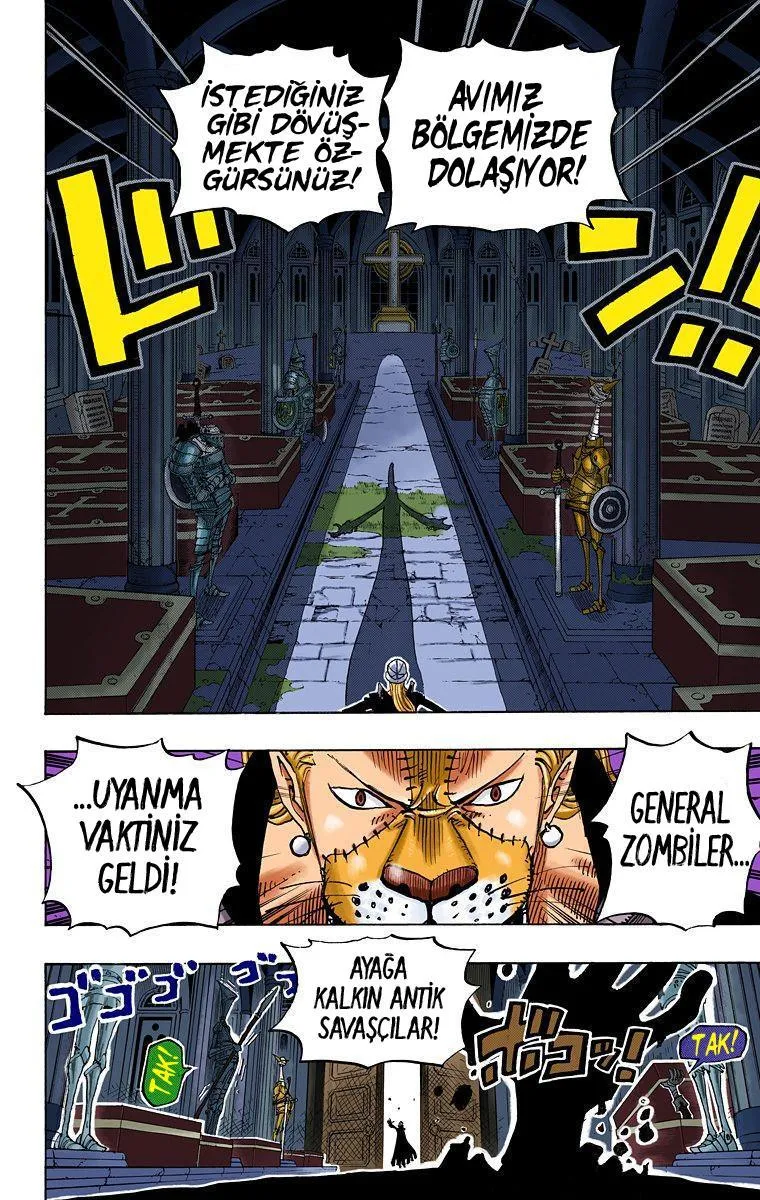 One Piece [Renkli] - Sayfa 19