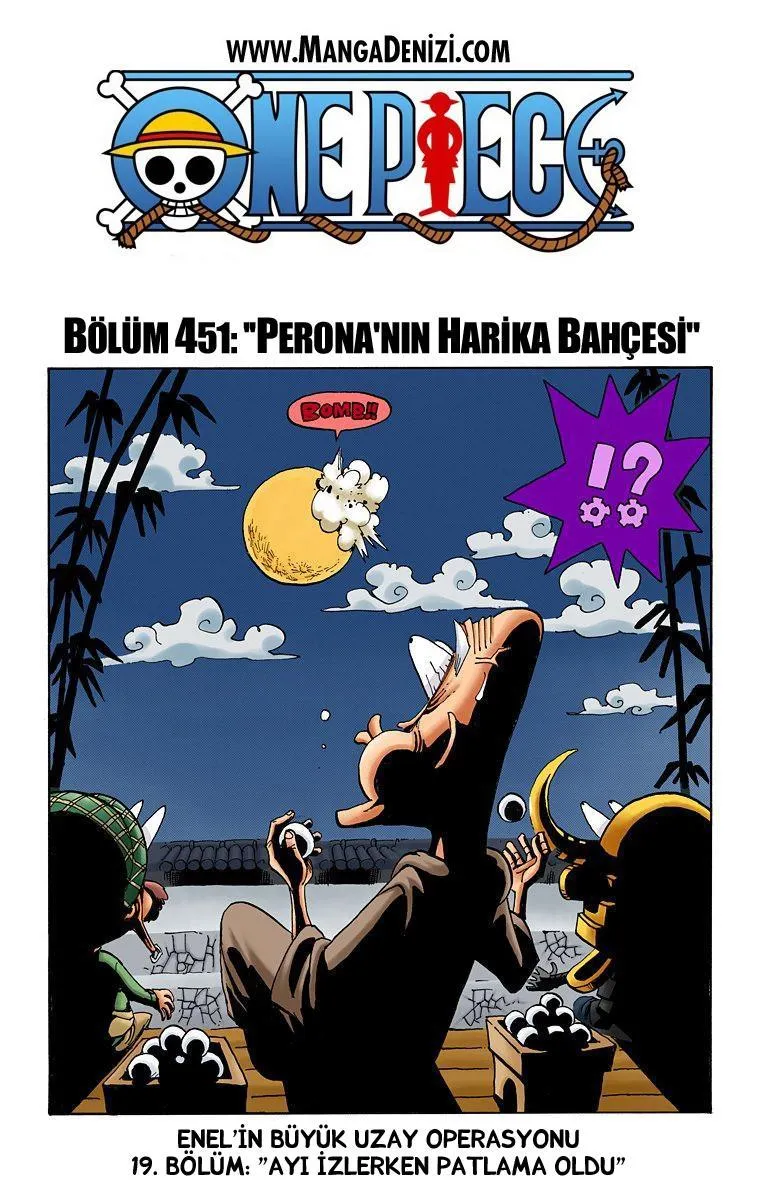 One Piece [Renkli] - Sayfa 2