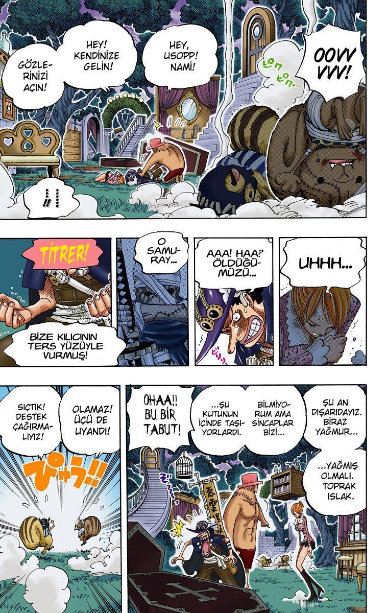 One Piece [Renkli] mangasının 0451 bölümünün 10. sayfasını okuyorsunuz.