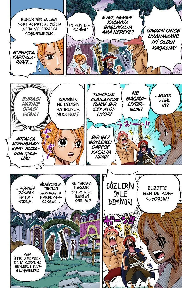 One Piece [Renkli] - Sayfa 13