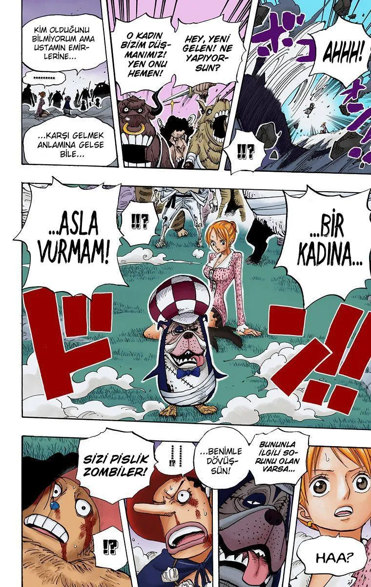 One Piece [Renkli] - Sayfa 18