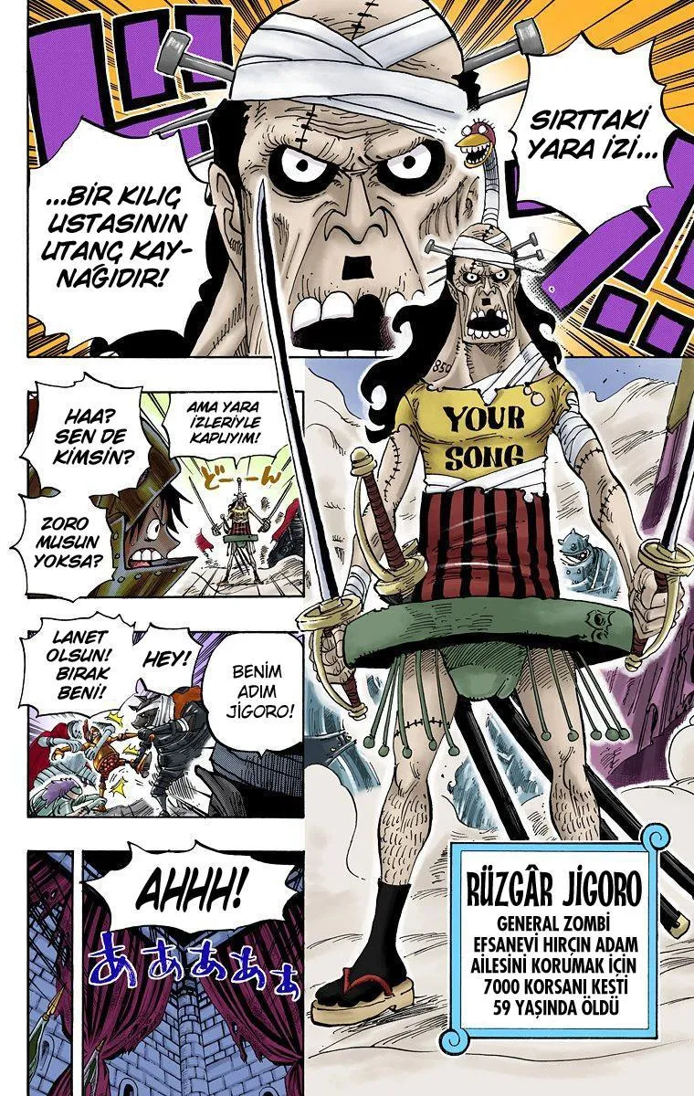 One Piece [Renkli] - Sayfa 14