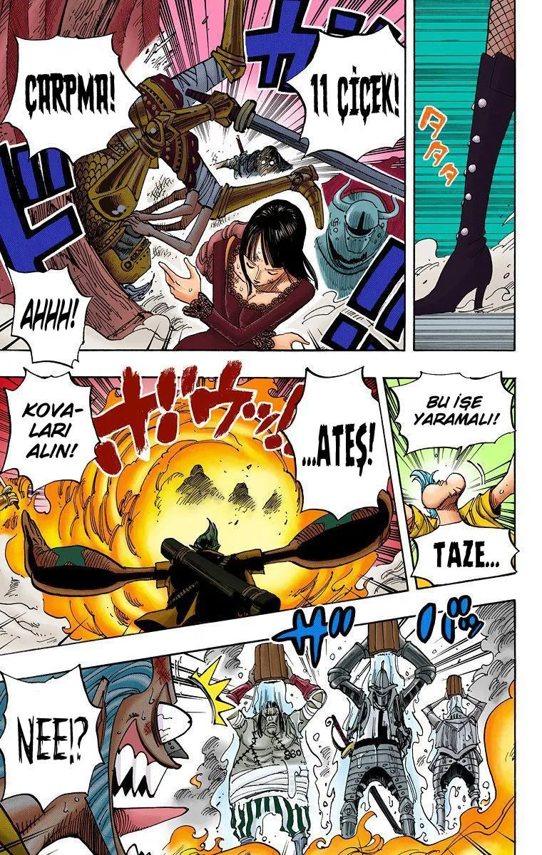 One Piece [Renkli] - Sayfa 15