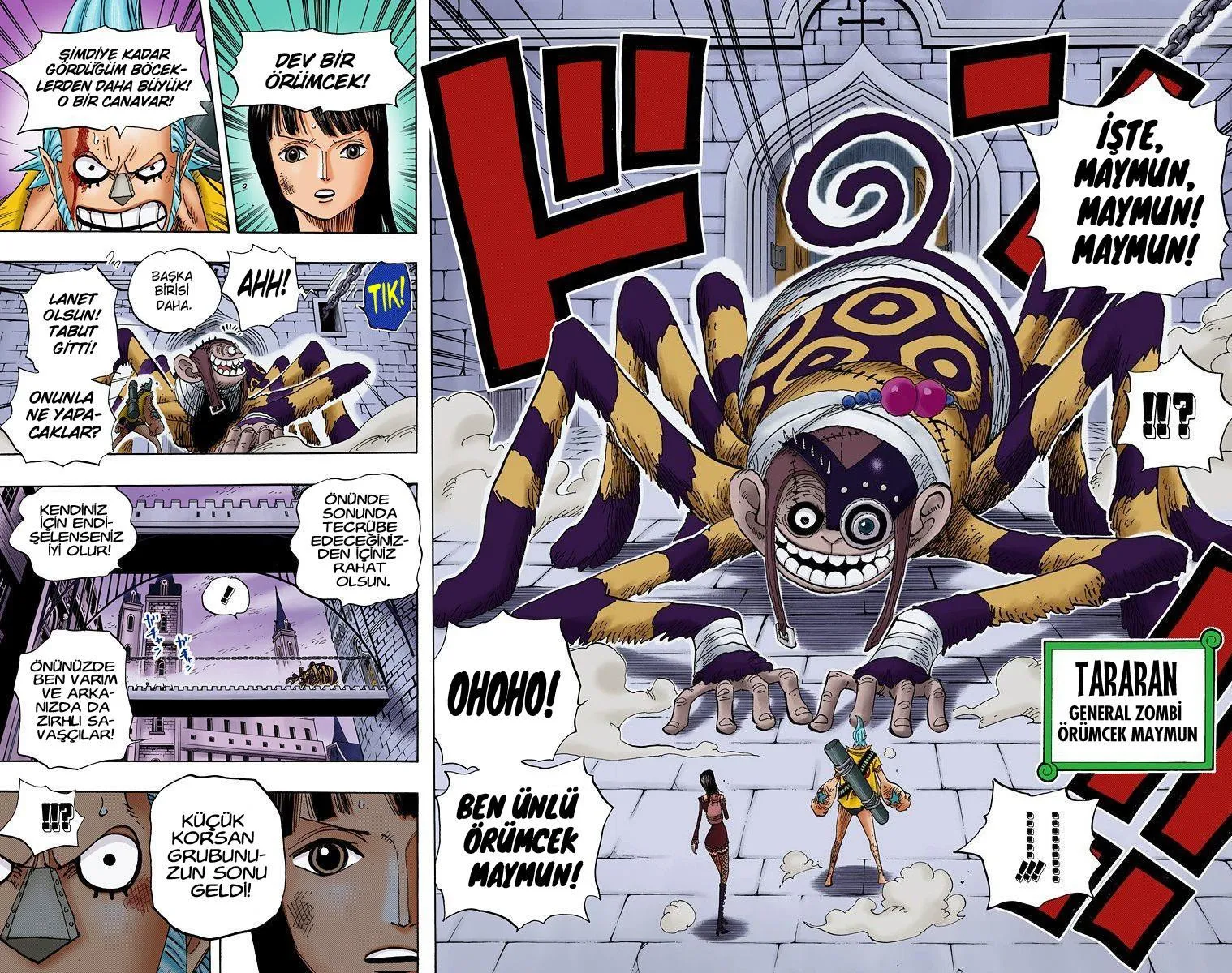 One Piece [Renkli] - Sayfa 18