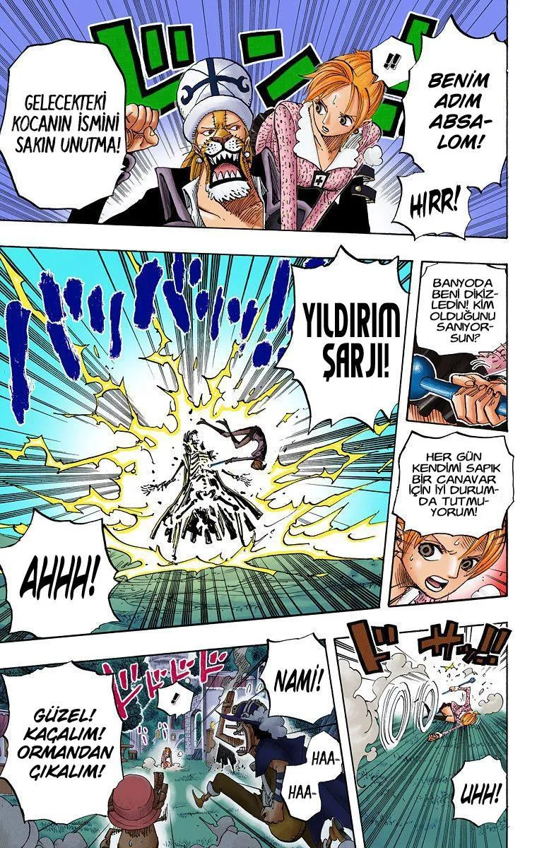 One Piece [Renkli] - Sayfa 8