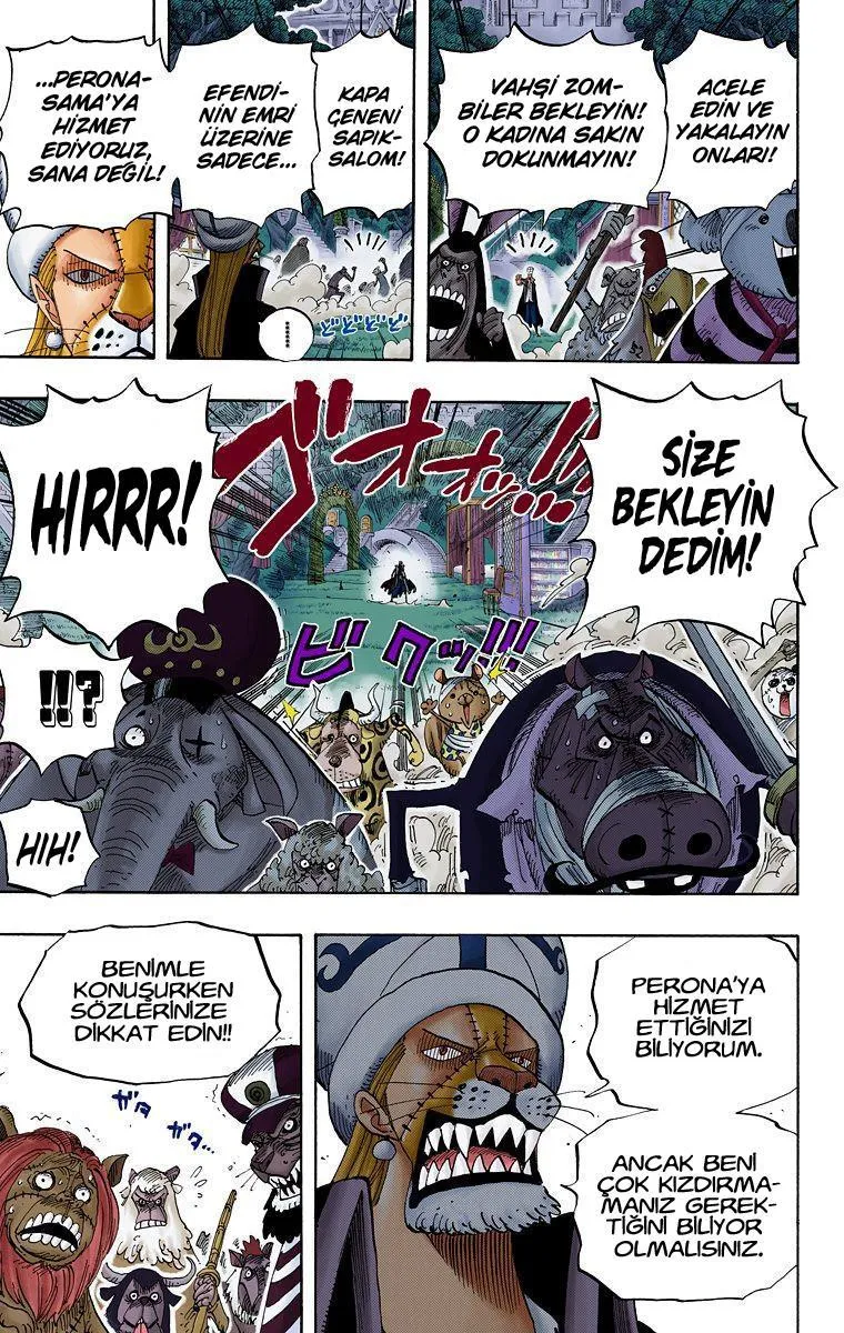 One Piece [Renkli] - Sayfa 10