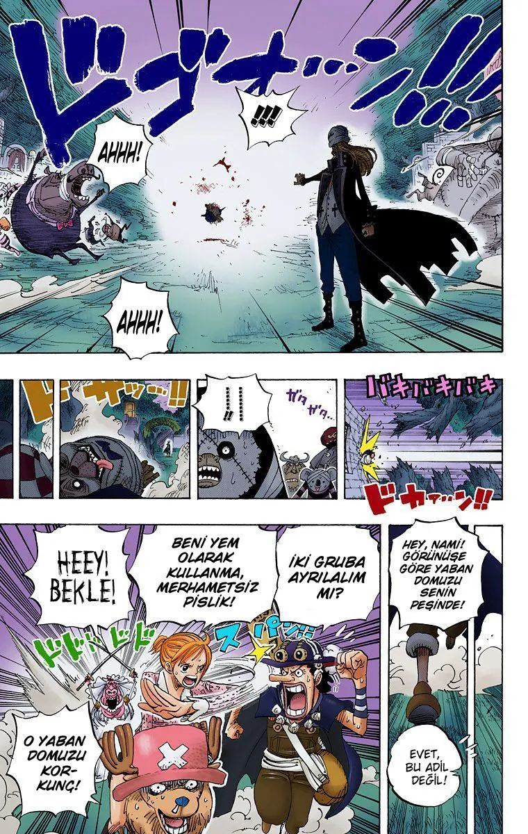One Piece [Renkli] - Sayfa 12
