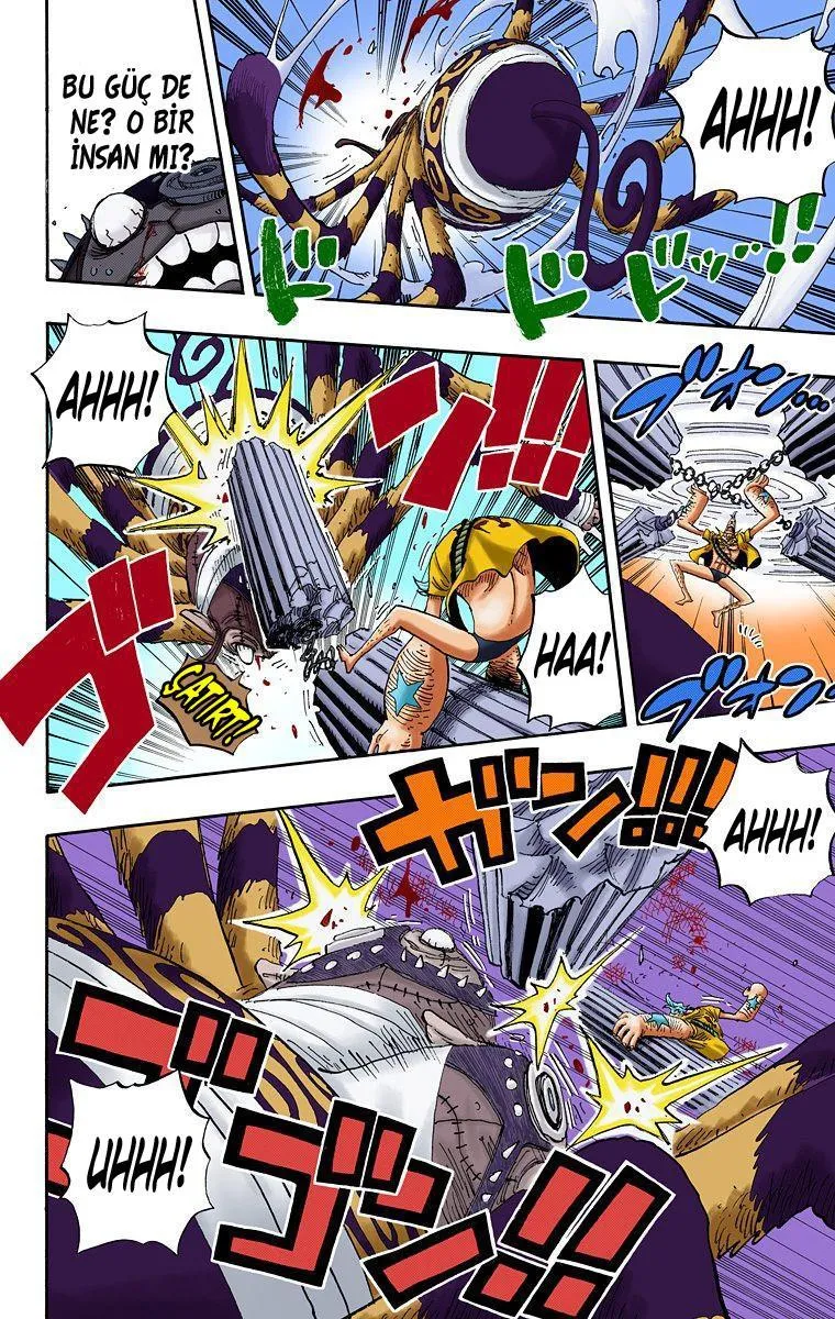 One Piece [Renkli] - Sayfa 14