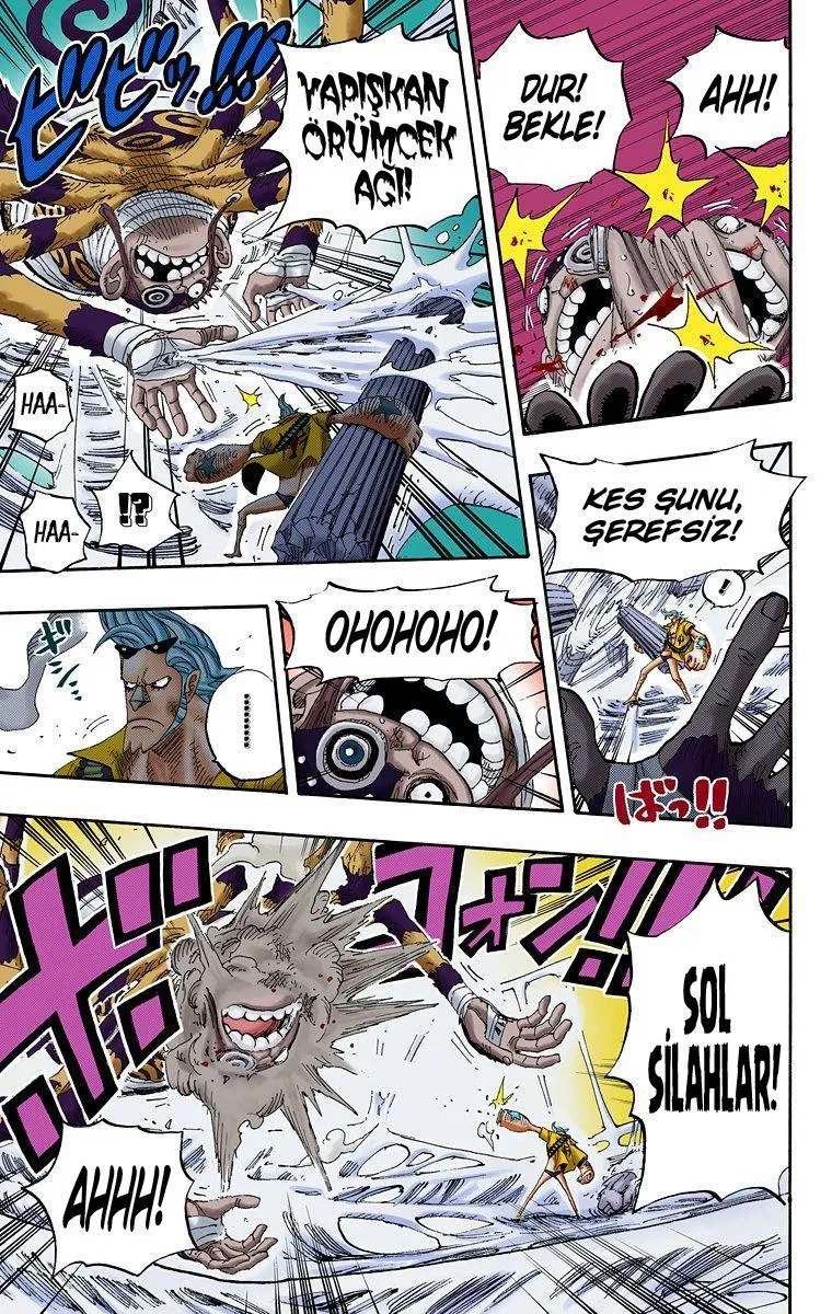 One Piece [Renkli] - Sayfa 15