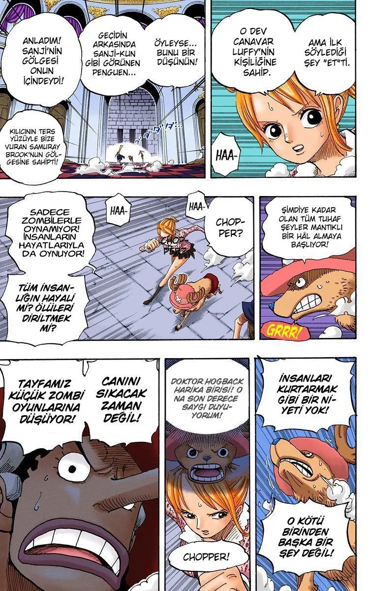 One Piece [Renkli] - Sayfa 13
