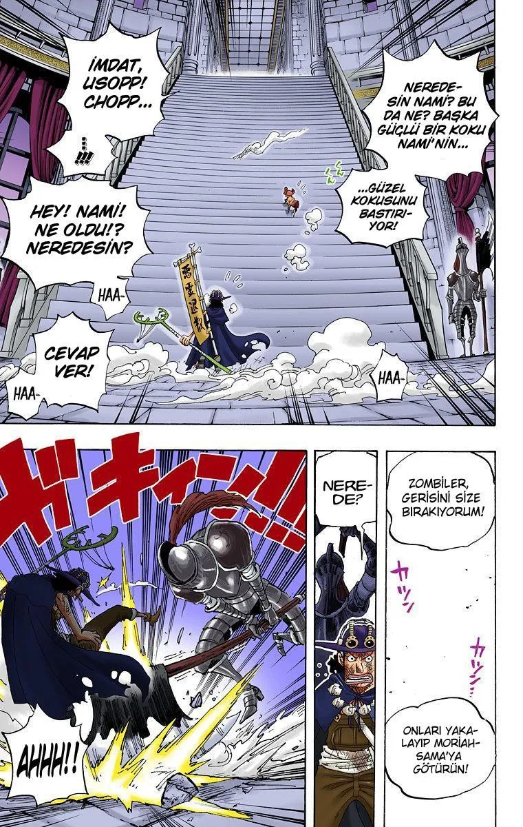 One Piece [Renkli] - Sayfa 17