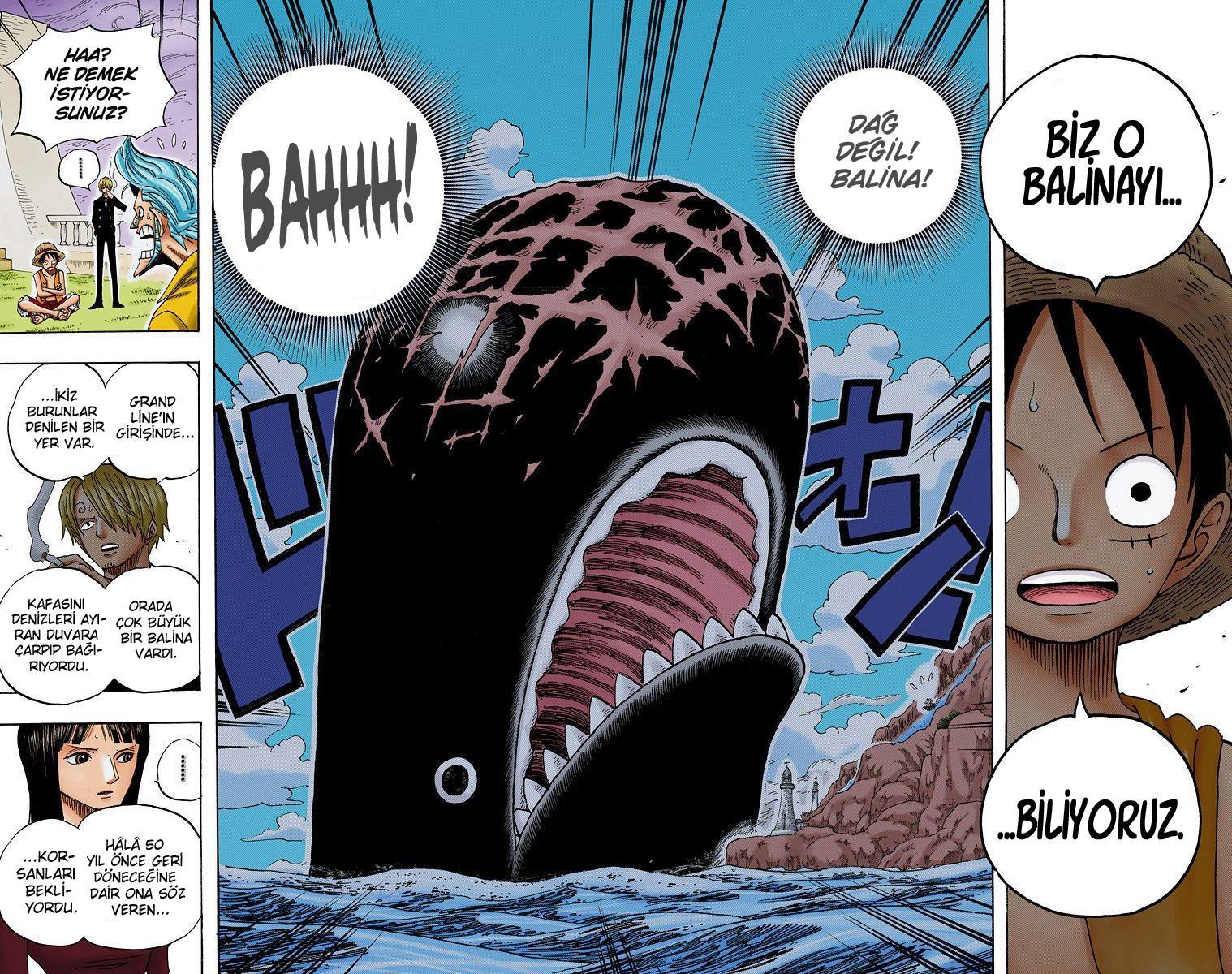 One Piece [Renkli] mangasının 0459 bölümünün 13. sayfasını okuyorsunuz.