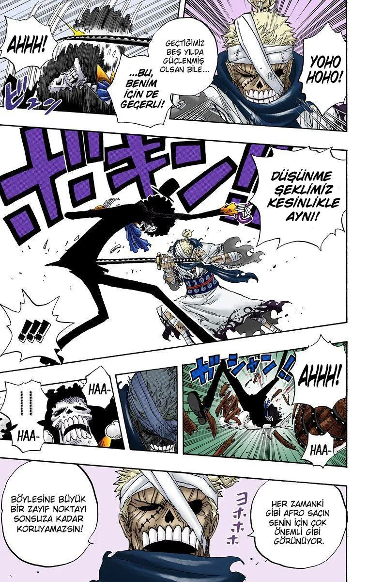 One Piece [Renkli] - Sayfa 15